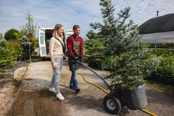 Best Tree Trimming and Pruning  in Gretna, NE